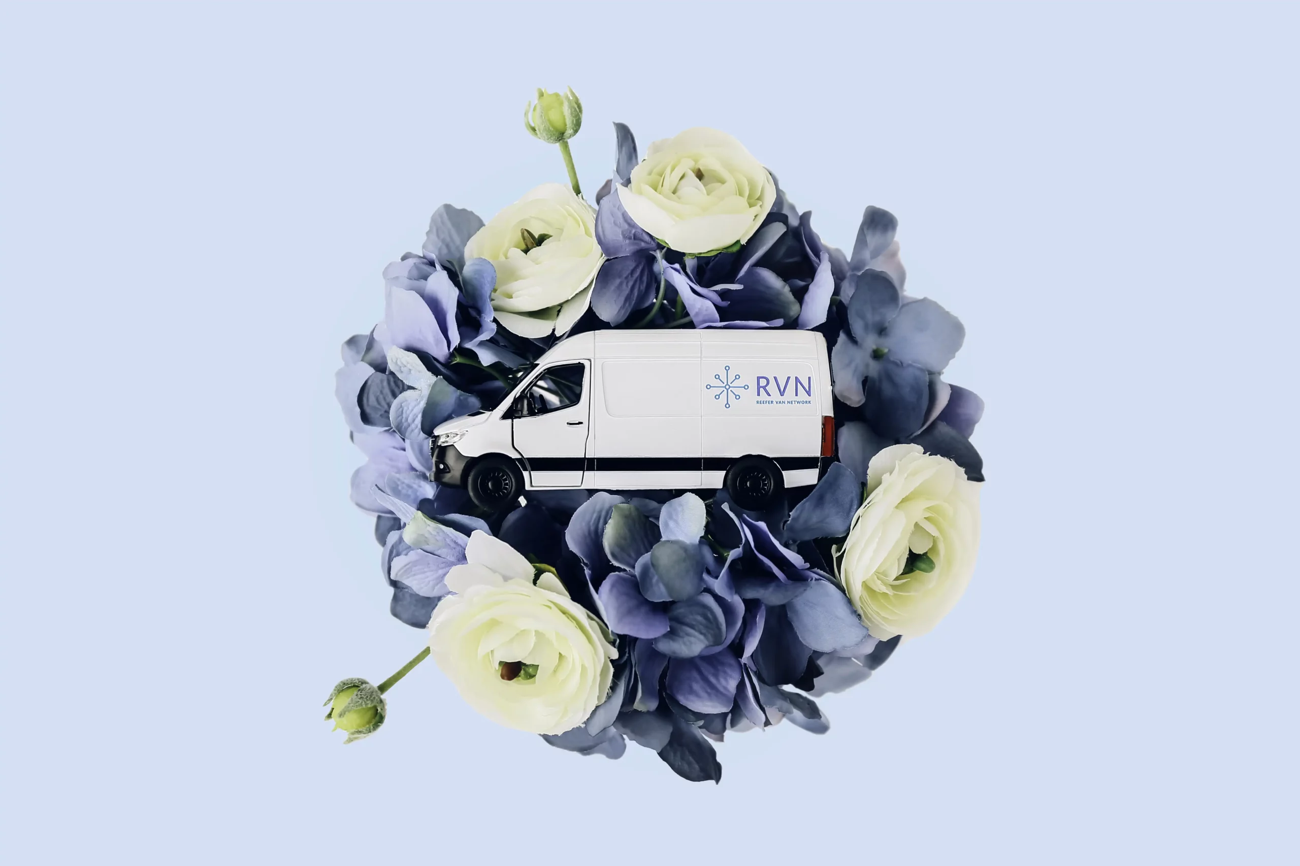 fresh cut flower shipping rvn scaled