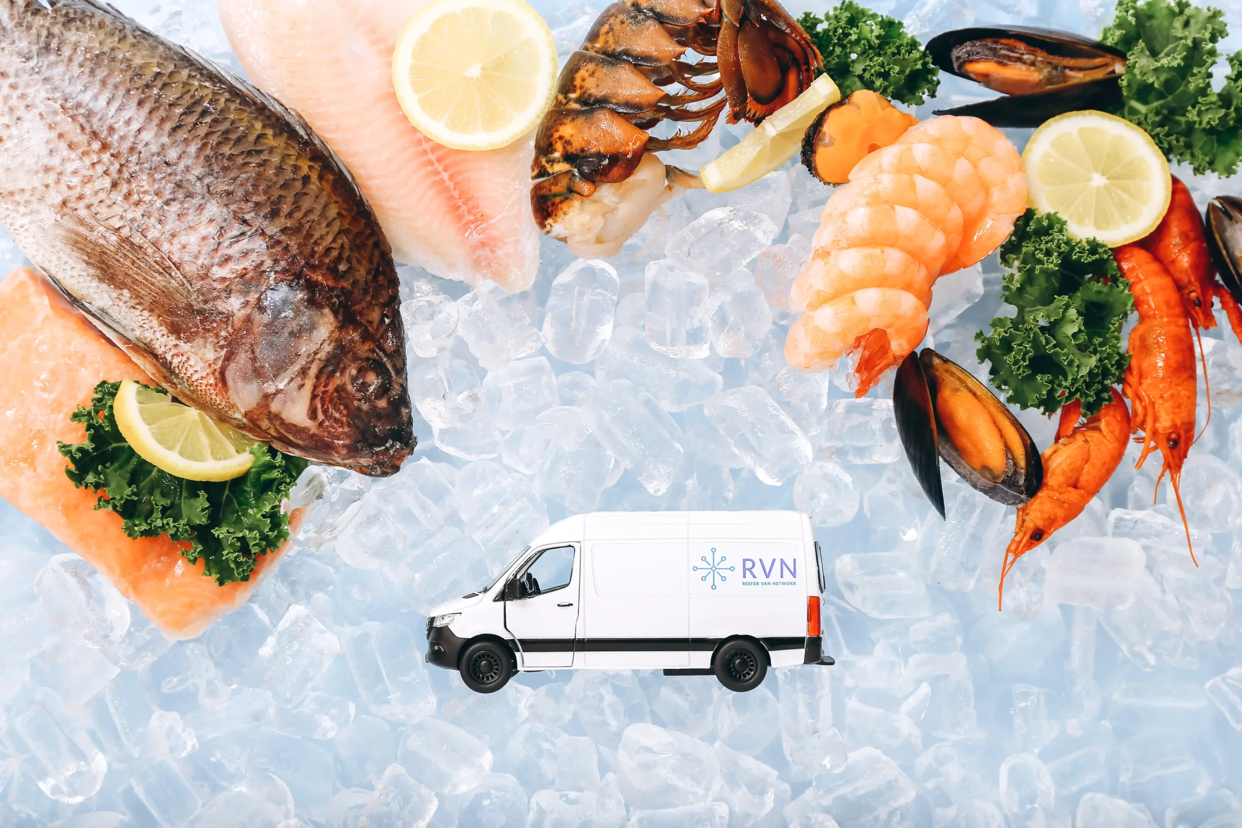 frozen_food_shipping_seafood