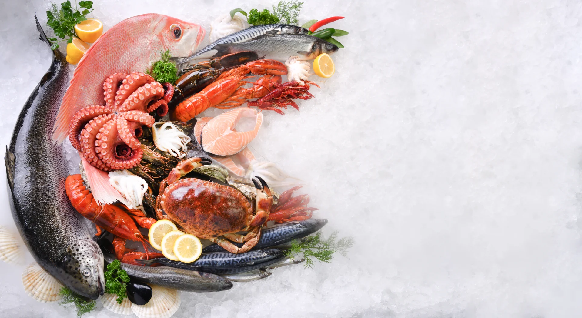 top-view-variety-fresh-fish-seafood-ice