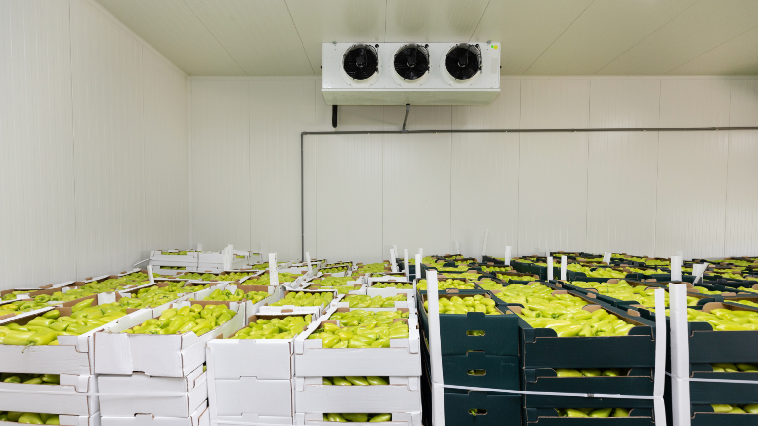 The Complete Guide to Monitoring Temperatures in the Cold Chain