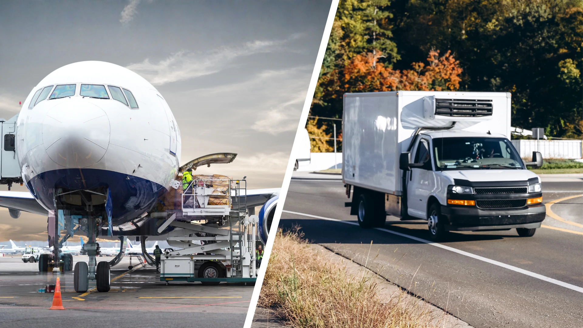 air freight, air freight forwarding, air freight forwarder, expedited freight, expedited shipping, cold chain, refrigerated freight, reefer van, reefer truck