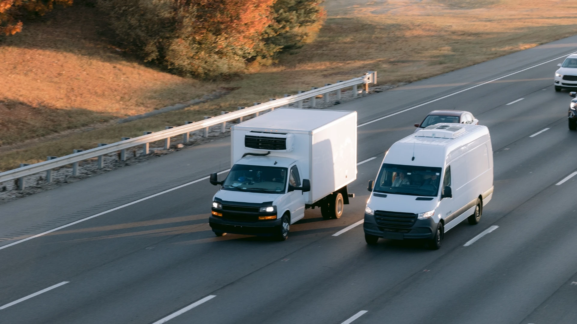 Top Tips to Manage Cold Chain Logistics Effectively cold chain management