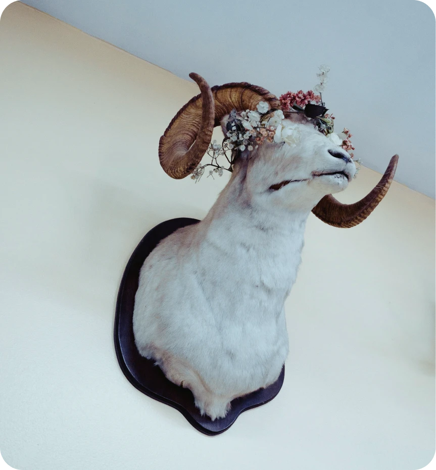 Game and Trophy Transport Solutions