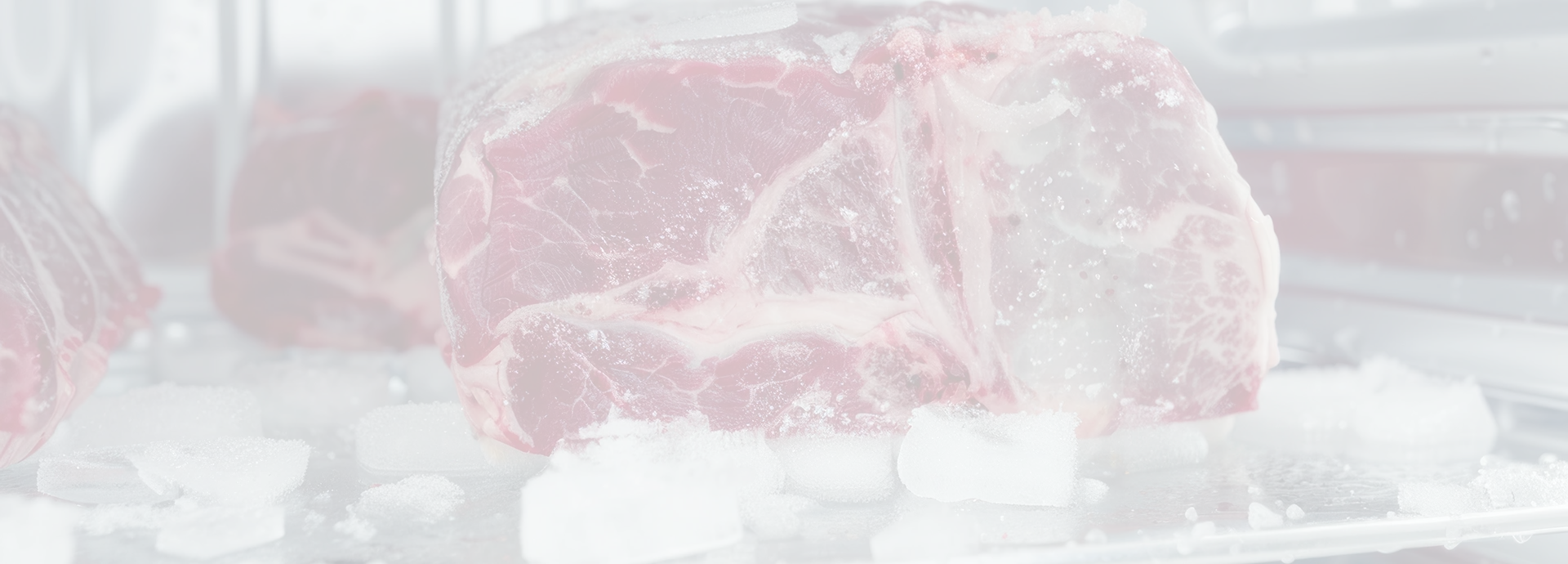 Meat Transportation Header