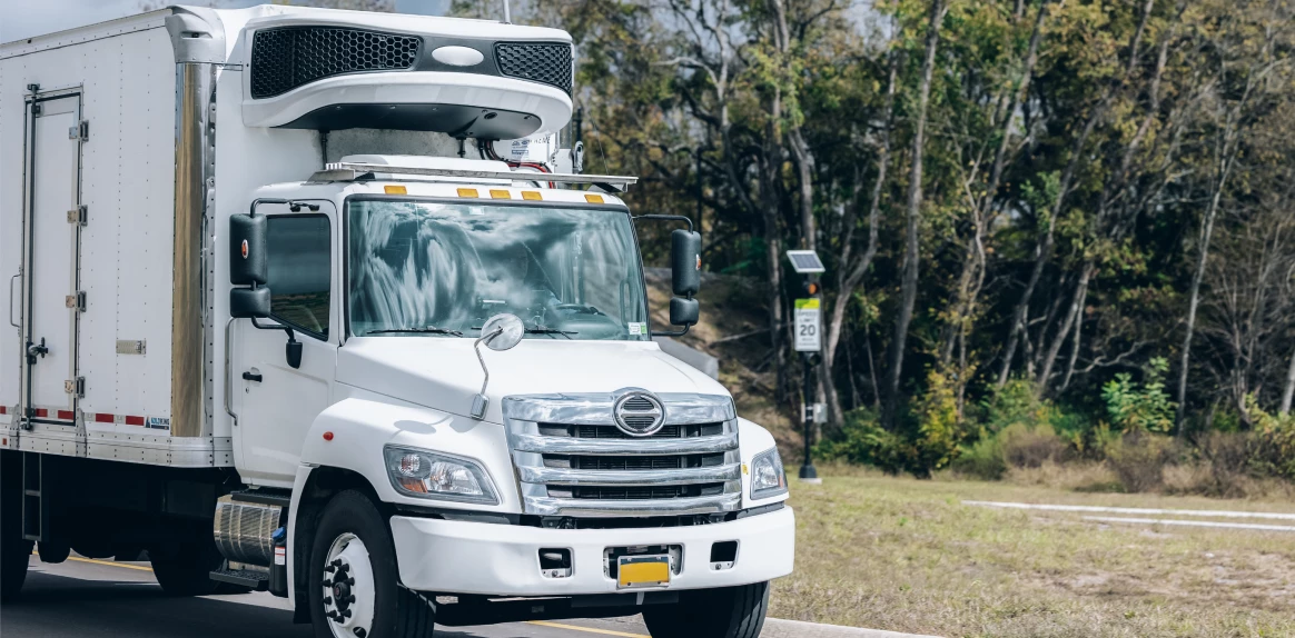 Plants and Flowers Shipping 1