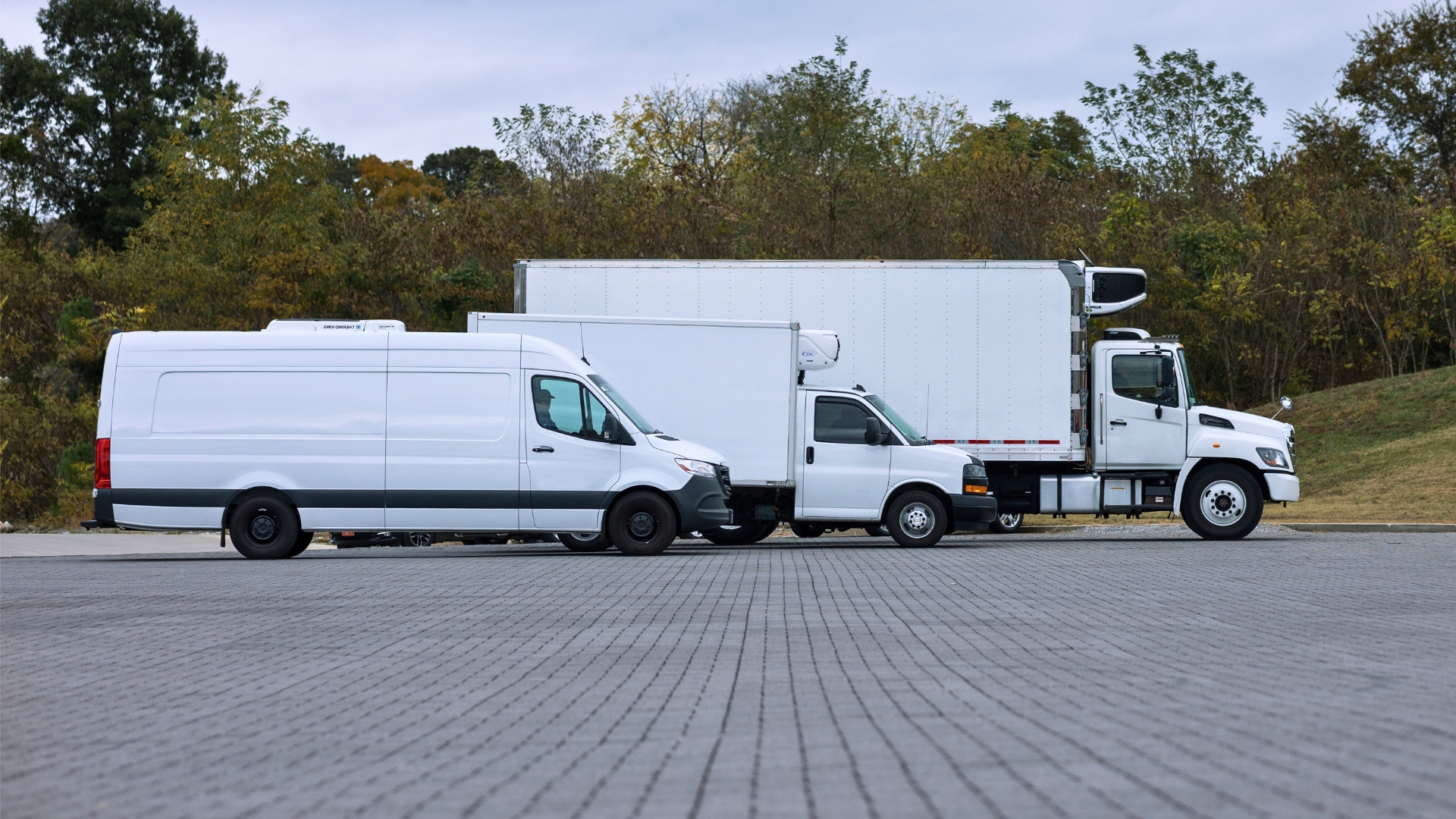 refrigerated shipping of medicines